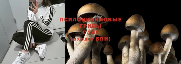 mix Няндома