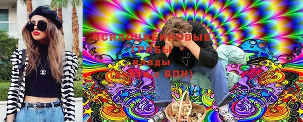 не бодяженный Новодвинск